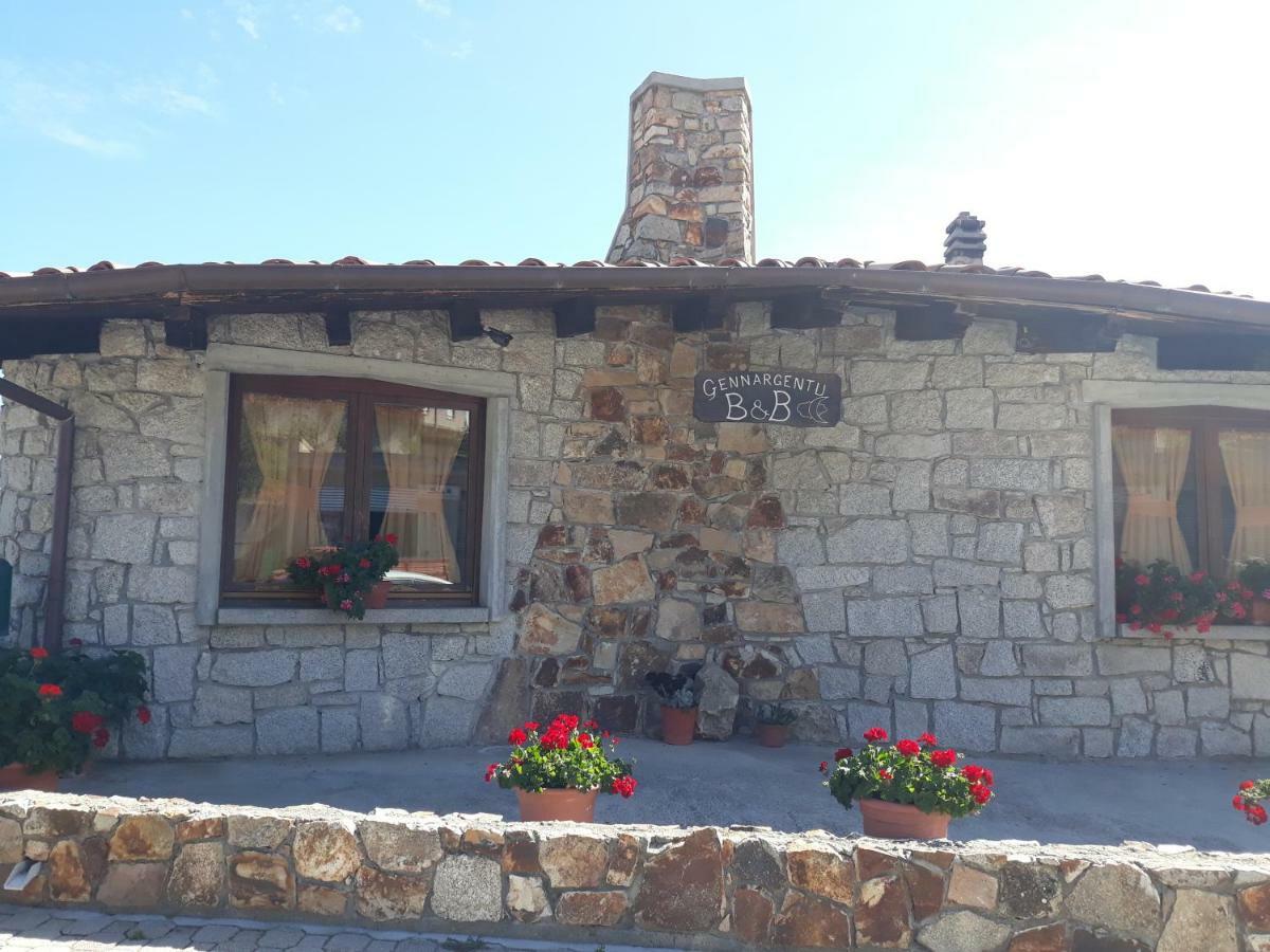 B&B Gennargentu Fonni Εξωτερικό φωτογραφία